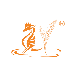 dingjing